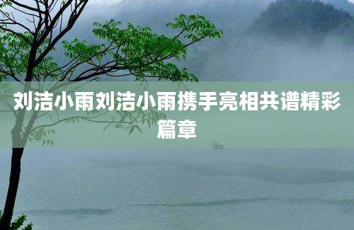刘洁小雨刘洁小雨携手亮相共谱精彩篇章