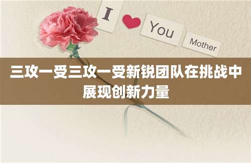 三攻一受三攻一受新锐团队在挑战中展现创新力量