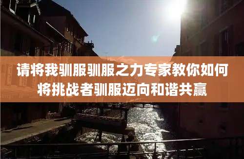请将我驯服驯服之力专家教你如何将挑战者驯服迈向和谐共赢