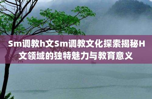 Sm调教h文Sm调教文化探索揭秘H文领域的独特魅力与教育意义