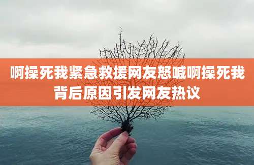 啊操死我紧急救援网友怒喊啊操死我背后原因引发网友热议