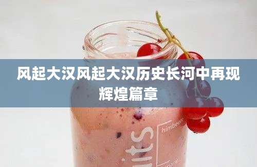 风起大汉风起大汉历史长河中再现辉煌篇章