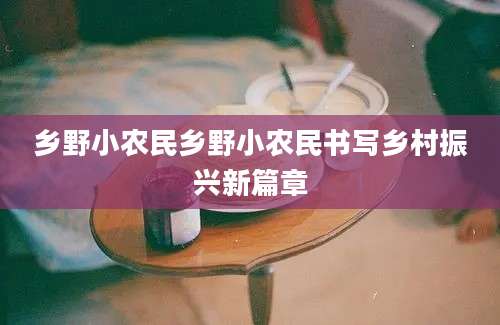 乡野小农民乡野小农民书写乡村振兴新篇章