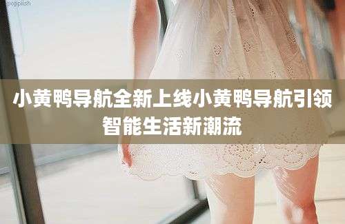 小黄鸭导航全新上线小黄鸭导航引领智能生活新潮流