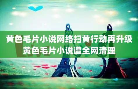 黄色毛片小说网络扫黄行动再升级黄色毛片小说遭全网清理