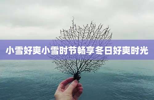 小雪好爽小雪时节畅享冬日好爽时光