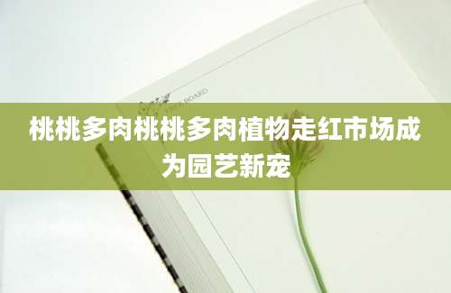 桃桃多肉桃桃多肉植物走红市场成为园艺新宠