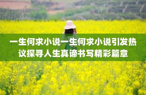 一生何求小说一生何求小说引发热议探寻人生真谛书写精彩篇章