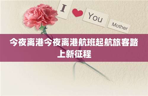 今夜离港今夜离港航班起航旅客踏上新征程