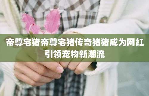 帝尊宅猪帝尊宅猪传奇猪猪成为网红引领宠物新潮流