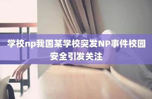 学校np我国某学校突发NP事件校园安全引发关注