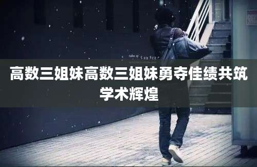高数三姐妹高数三姐妹勇夺佳绩共筑学术辉煌
