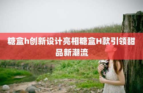 糖盒h创新设计亮相糖盒H款引领甜品新潮流