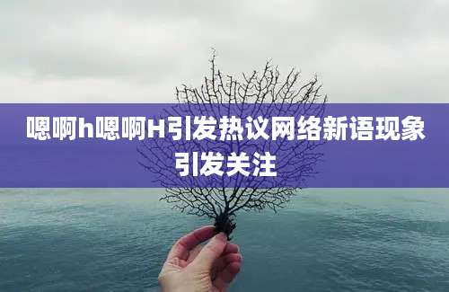 嗯啊h嗯啊H引发热议网络新语现象引发关注