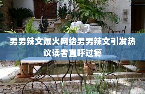 男男辣文爆火网络男男辣文引发热议读者直呼过瘾