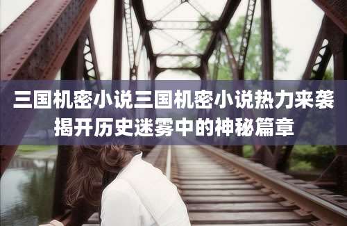 三国机密小说三国机密小说热力来袭揭开历史迷雾中的神秘篇章