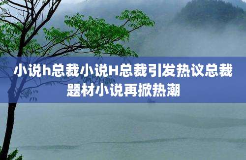小说h总裁小说H总裁引发热议总裁题材小说再掀热潮