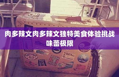 肉多辣文肉多辣文独特美食体验挑战味蕾极限
