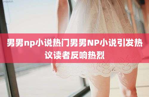 男男np小说热门男男NP小说引发热议读者反响热烈
