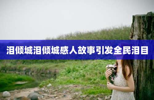 泪倾城泪倾城感人故事引发全民泪目