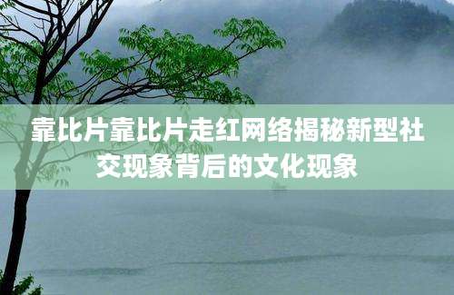 靠比片靠比片走红网络揭秘新型社交现象背后的文化现象