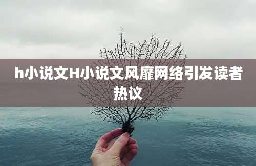 h小说文H小说文风靡网络引发读者热议