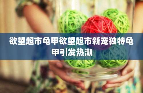 欲望超市龟甲欲望超市新宠独特龟甲引发热潮