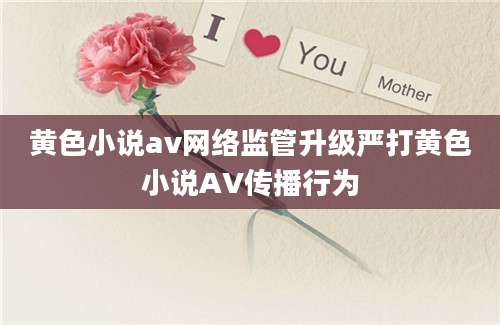 黄色小说av网络监管升级严打黄色小说AV传播行为