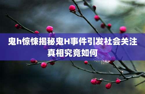 鬼h惊悚揭秘鬼H事件引发社会关注真相究竟如何