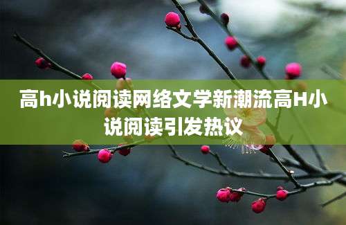 高h小说阅读网络文学新潮流高H小说阅读引发热议