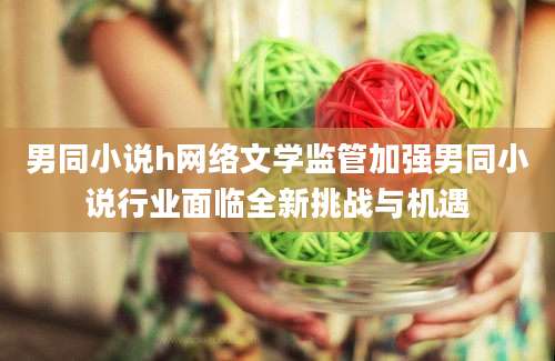 男同小说h网络文学监管加强男同小说行业面临全新挑战与机遇
