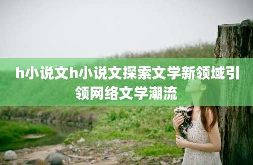 h小说文h小说文探索文学新领域引领网络文学潮流